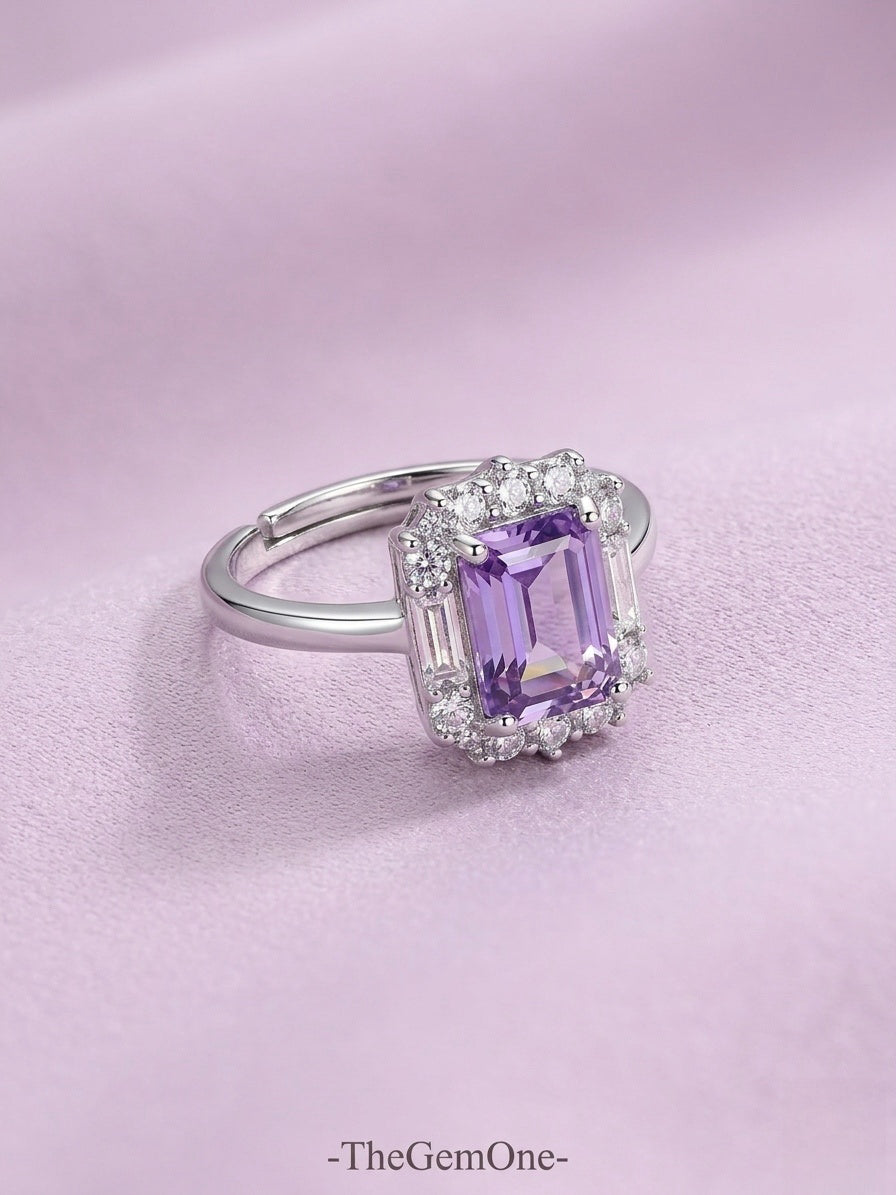 Noble Fortune Amethyst & Pi Xiu Set